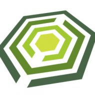 quadrat-Logo-a4 MeldungMännergewaltThüringen